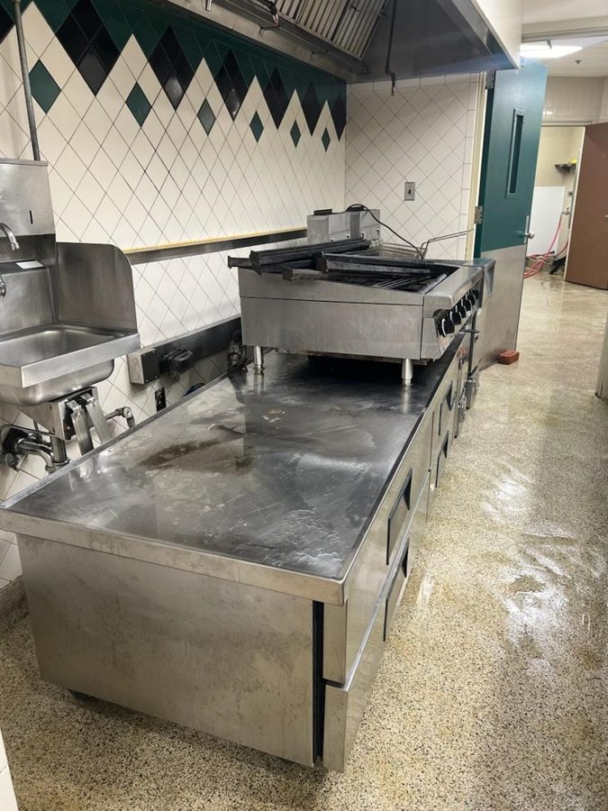 MAYO work in action