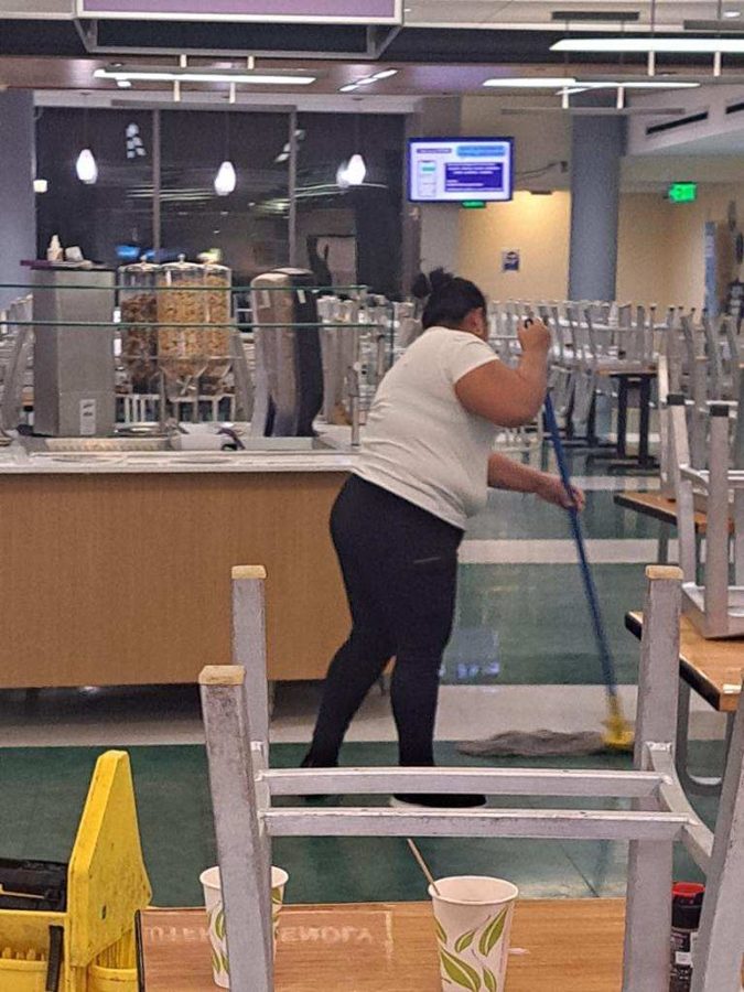 MAYO work in action