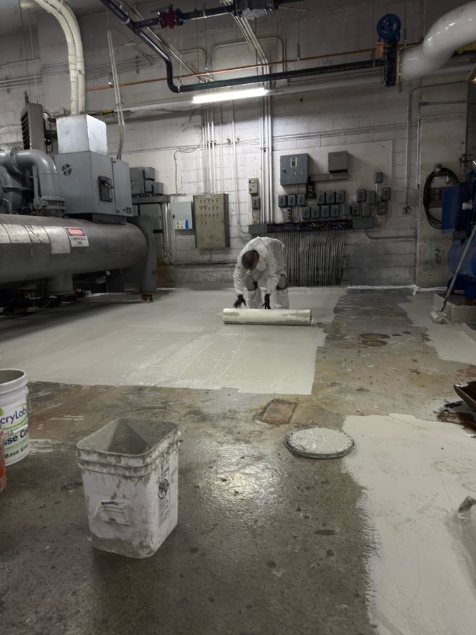 MAYO work in action